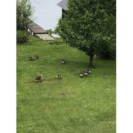 Lena's Comfortable * Wustrow (Mecklenburg-Strelitz)