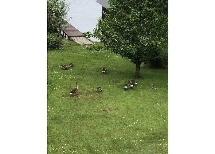 Lena's Comfortable * Wustrow (Mecklenburg-Strelitz)